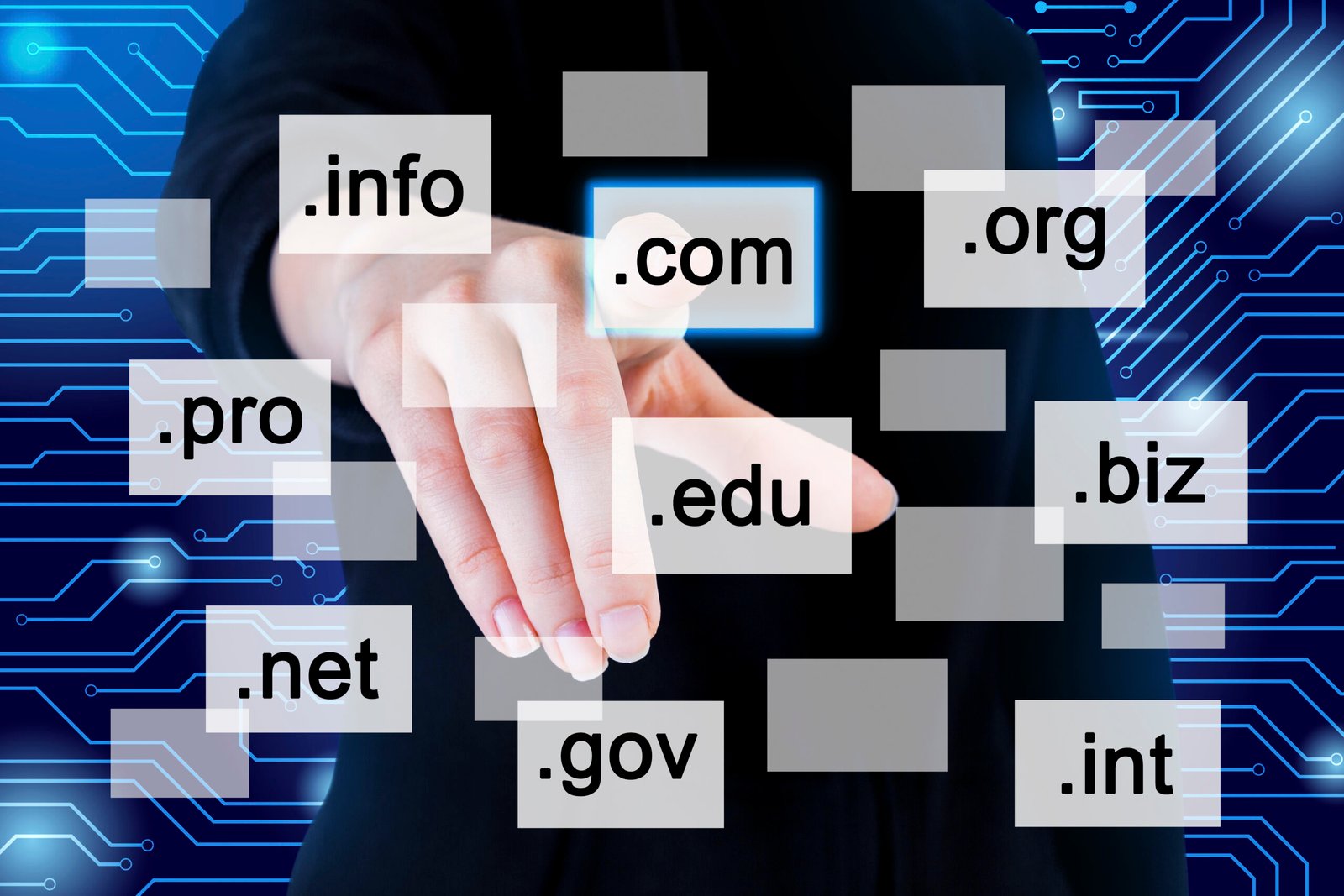 Domain Registration